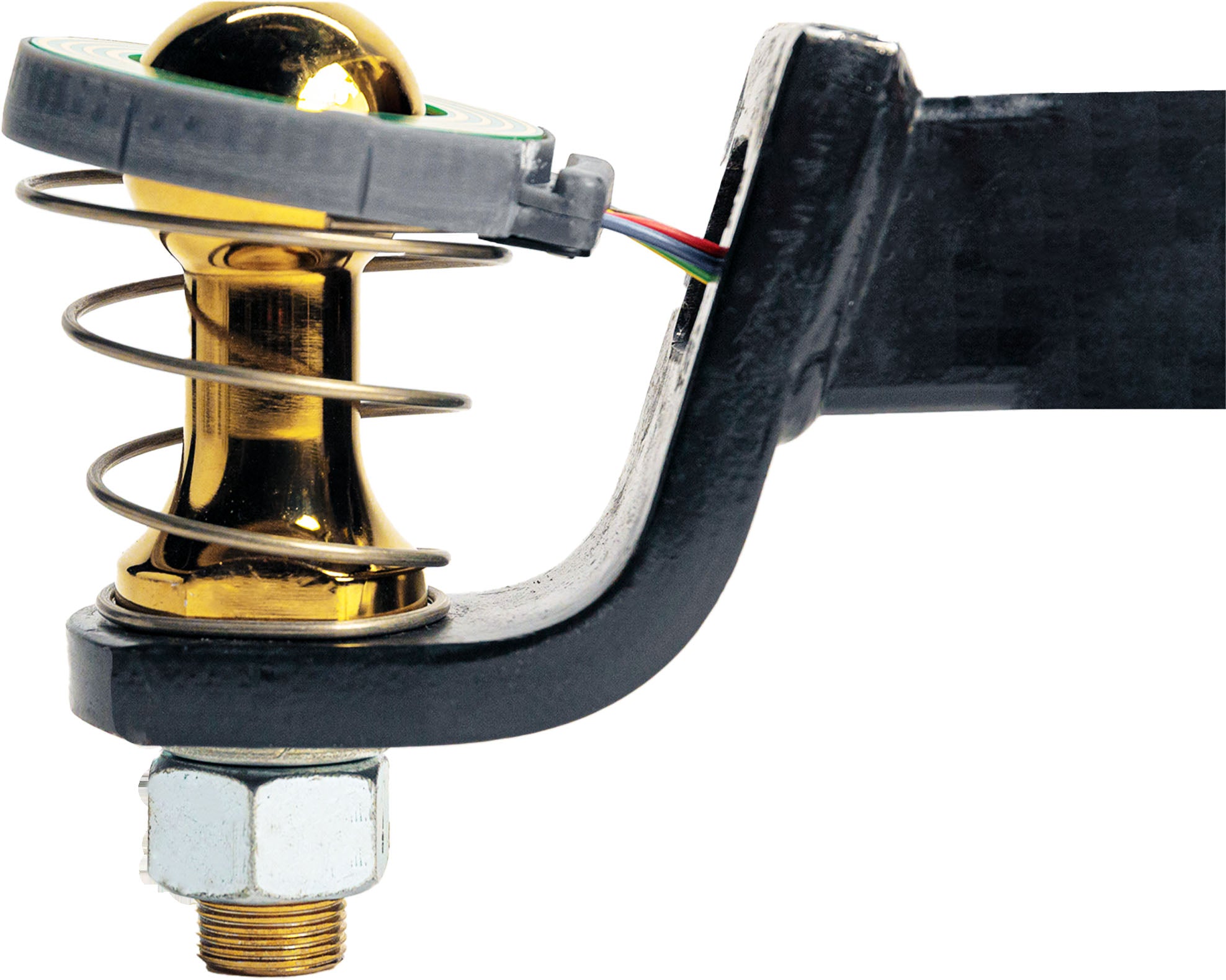 Collar Base Escorpión